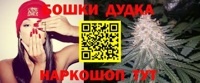 спиды Краснознаменск
