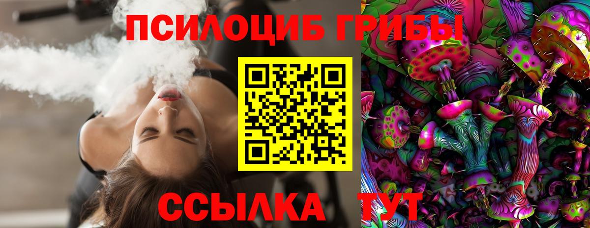 Галлюциногенные грибы MAGIC MUSHROOMS  наркошоп  Касимов  Вход с VPN 
